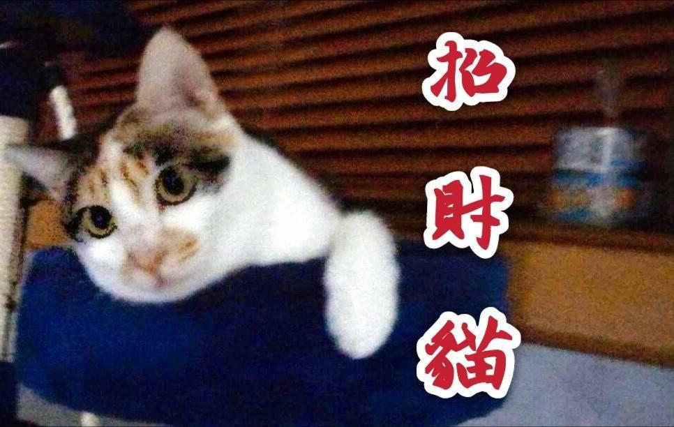 마이 스토리 인 지우펀 호스텔 외부 사진